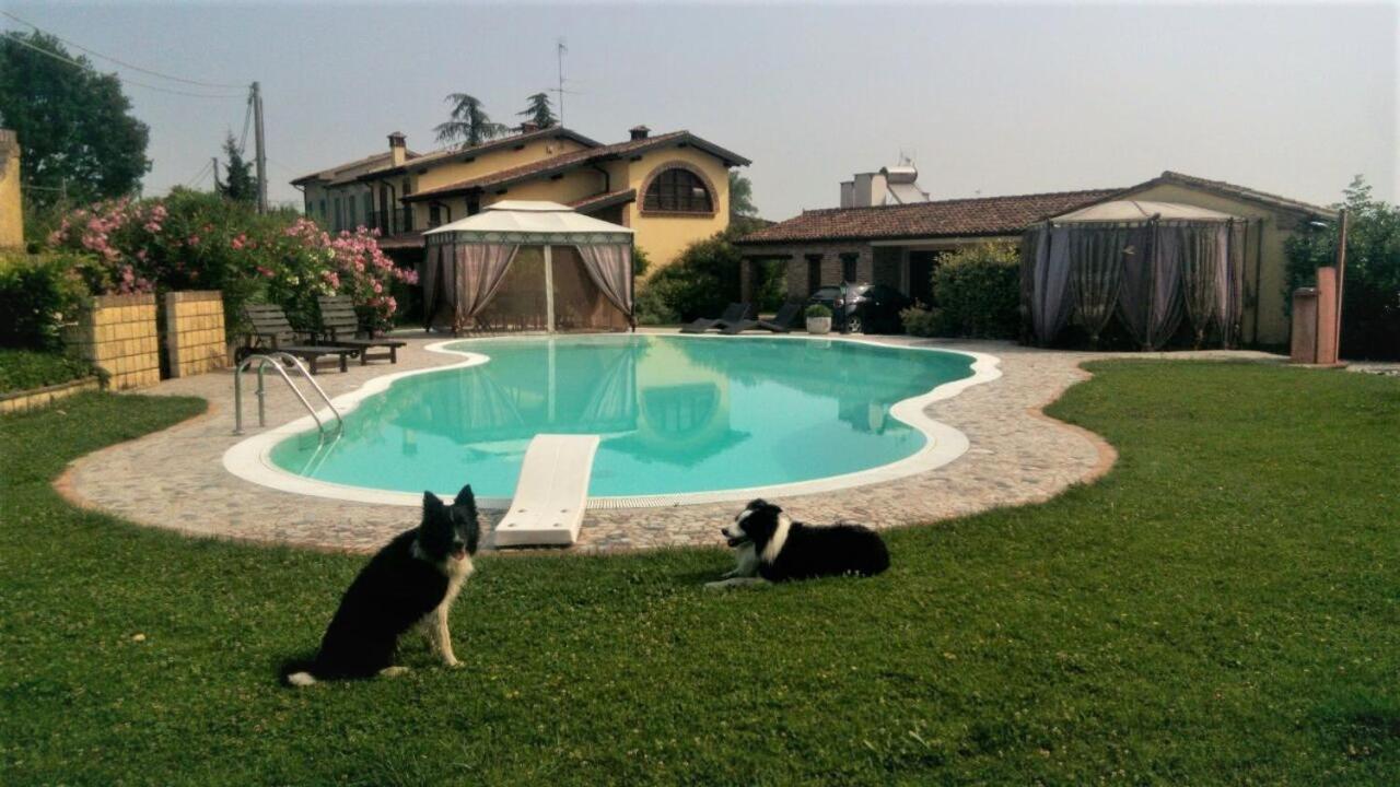 B&B Il Martin Pescatore Bagnolo San Vito Екстер'єр фото