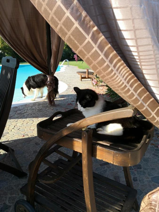 B&B Il Martin Pescatore Bagnolo San Vito Екстер'єр фото